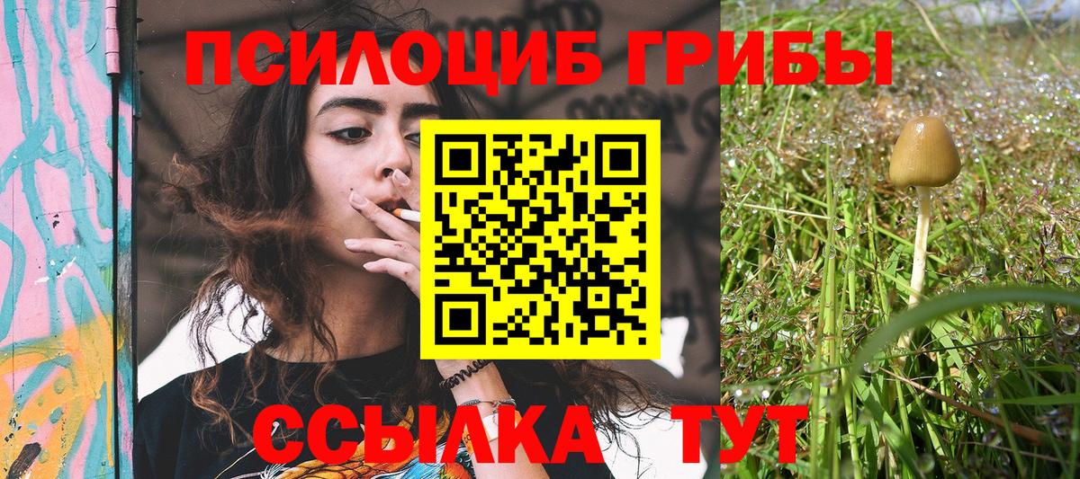 Галлюциногенные грибы MAGIC MUSHROOMS  Вход с VPN  Галлюциногенные грибы Psilocybine cubensis  Шахты 